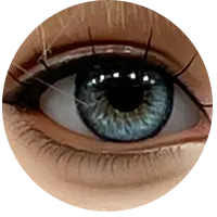 16.webp